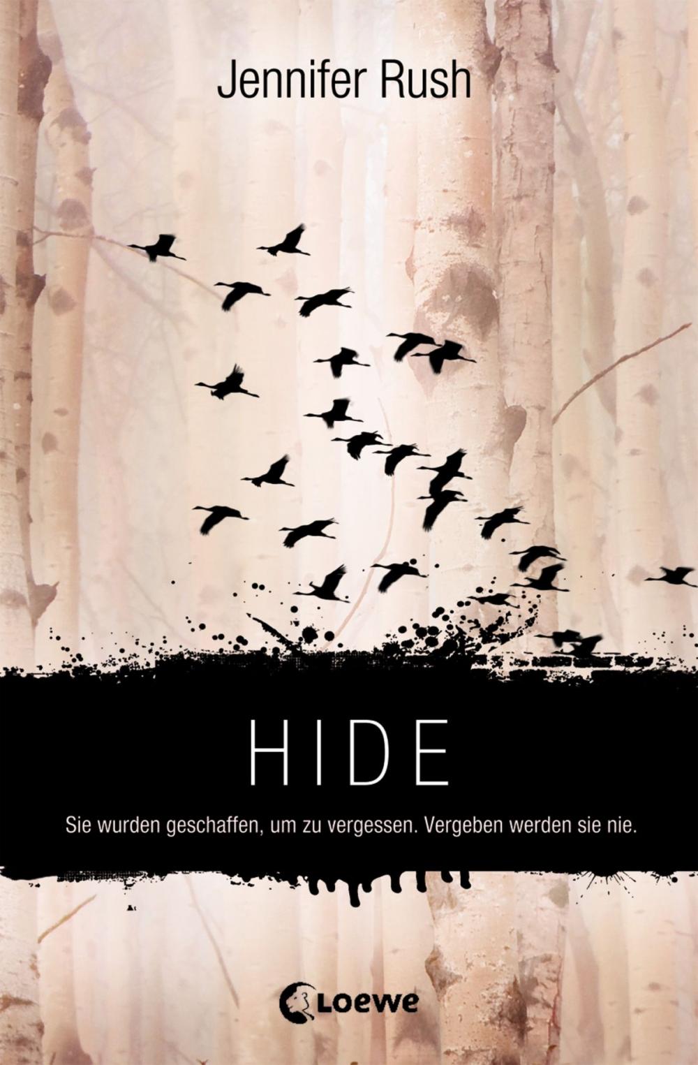 Big bigCover of Hide