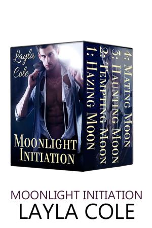 Cover of the book Moonlight Initiation by Mary Ann Mitchell