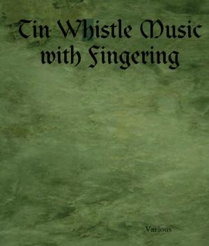 Book cover of Tin Whistle Music with Fingering
