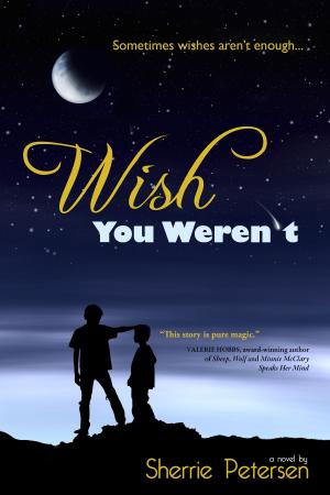 Cover of the book Wish You Weren't by H. S. Stone