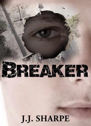 Cover of the book Breaker by Julie Elizabeth Powell