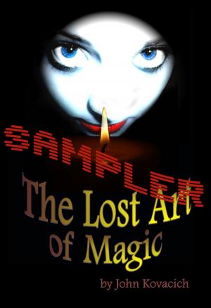 Cover of the book The Lost Art of Magic - BIG SAMPLER by Chris Barraclough