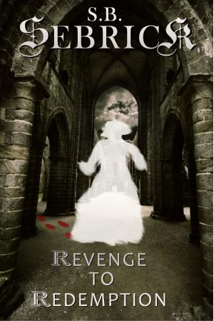 Cover of the book Revenge to Redemption by S. B. Sebrick