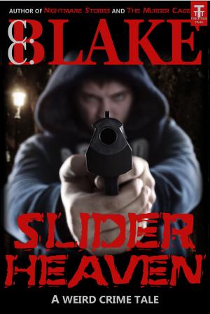Cover of the book Slider Heaven by C. C. Blake, Daniel R. Robichaud