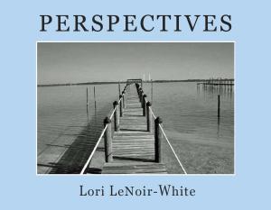 Cover of the book Perspectives by Sarah Doughty