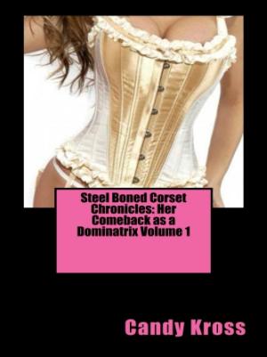 Cover of the book Steel Boned Corset Chronicles: Her Comeback as a Dominatrix Volume 1 by Vince Stead