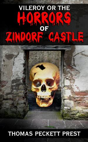 Book cover of Vileroy or The Horrors of Zindorf Castle