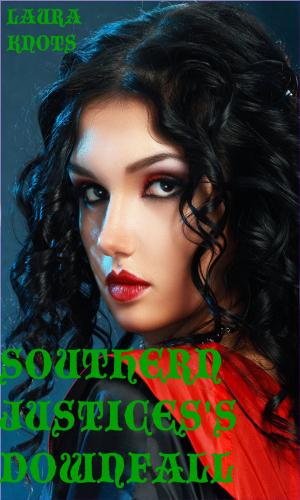 Cover of the book Southern Justice's Downfall by Laura Knots