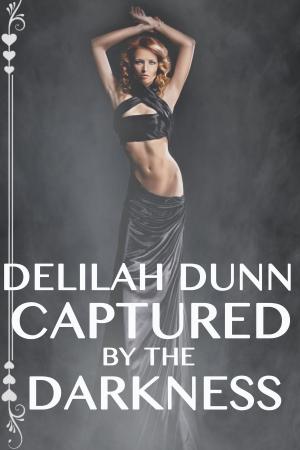 Cover of the book Captured by the Darkness by Audra Black
