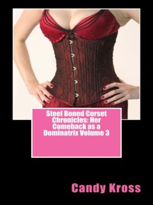 Book cover of Steel Boned Corset Chronicles: Her Comeback as a Dominatrix Volume 3