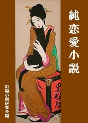 Cover of the book 純恋愛小説 by India Kells