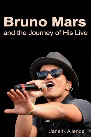 Cover of the book Bruno and the Journey of His Life by Erik B. Kaye