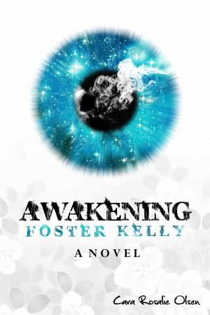 Cover of the book Awakening Foster Kelly by paulo da costa