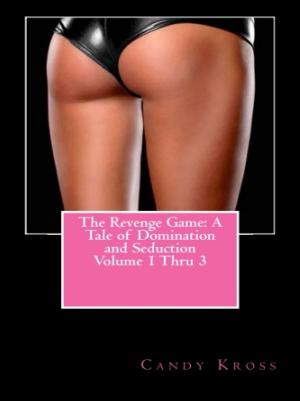 Book cover of The Revenge Game: A Tale of Domination and Seduction Volume 1 Thru 3