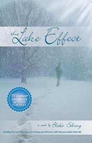 Cover of the book The Lake Effect by David Skibinski