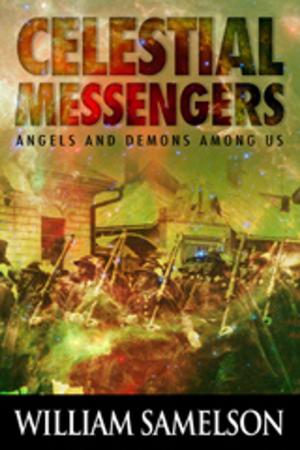 Cover of the book Celestial Messengers by Jim Cox