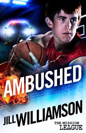 Cover of the book Ambushed: Mini Mission 2.5 (novella) by Susan Kaye Quinn