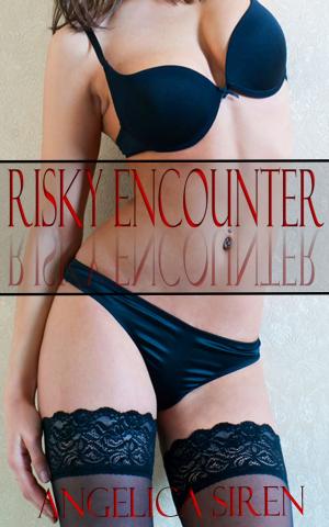 Cover of the book Risky Encounter by Angelica Siren, Ellery Stark