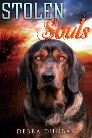 Cover of Stolen Souls