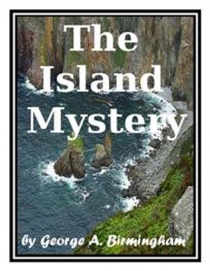 Cover of the book The Island Mystery by UNKNOWN