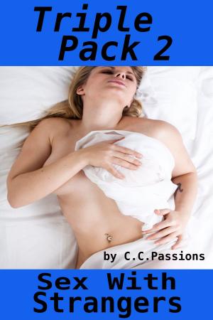 Cover of the book Sex With Strangers, Triple Pack 2 by Sasha Moans