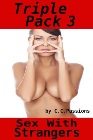 Cover of the book Sex With Strangers, Triple Pack 3 by E. Z. Lay