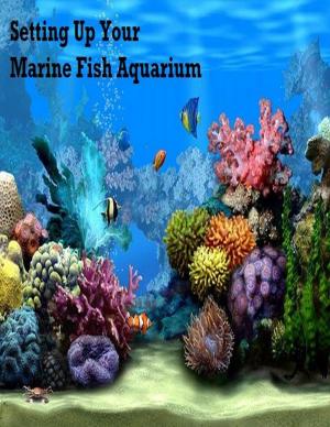 Cover of the book Setting Up Your Marine Fish Aquarium by Jeremy Hawk