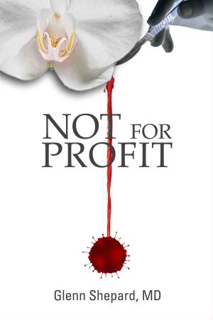 bigCover of the book Not For Profit by 
