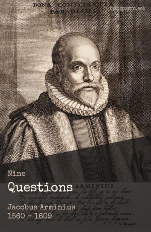 Cover of the book Nine Questions by William Gurnall