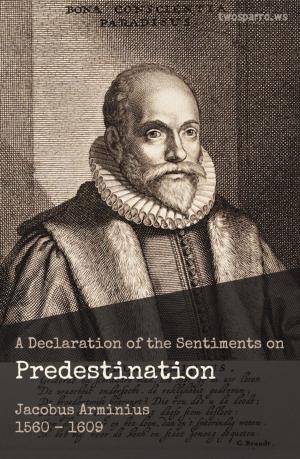 Cover of the book A Declaration of the Sentiments on Predestination by Two Sparrows Bibles, Michael Peter Engelbrite