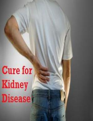 Cover of the book Cure for Kidney Disease by John Wade