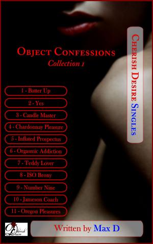 Cover of the book Object Confessions Collection 1 by Angela Minx