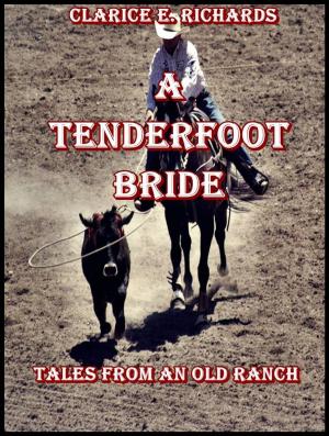 bigCover of the book A Tenderfoot Bride : Tales from an Old Ranch by 