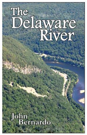 bigCover of the book The Delaware River by 