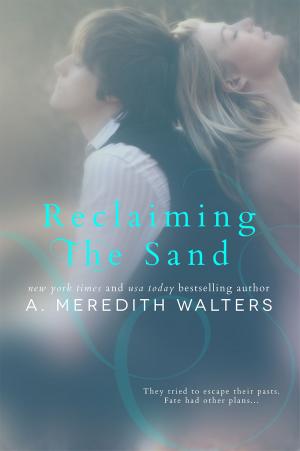Cover of the book Reclaiming the Sand by Kellie Coates Gilbert