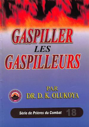 Cover of the book Gaspiller Les Gaspilleurs by Dr. D. K. Olukoya
