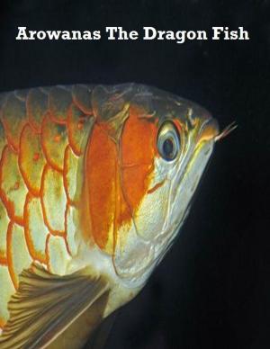 Cover of Arowanas the Dragon Fish