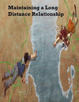 Cover of the book Maintaining a Long Distance Relationship by V.T.