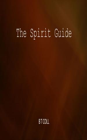 Cover of the book The Spirit Guide by B T Coll