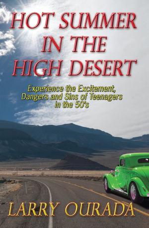 Cover of the book Hot Summer in the High Desert by 谷函真