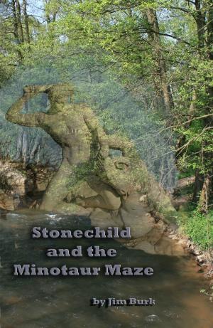 Cover of the book Stonechild and the Minotaur Maze by Joshua Elliot James