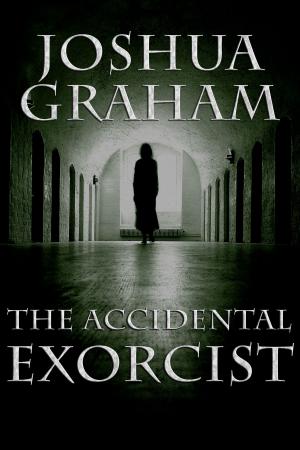 Cover of the book THE ACCIDENTAL EXORCIST by Richard E. White