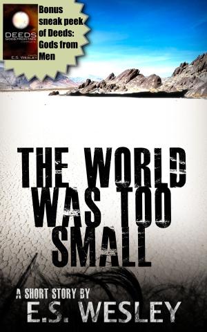 Cover of the book The World Was Too Small by Maquel A. Jacob