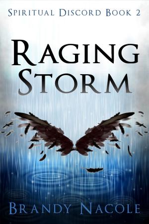 Cover of the book Raging Storm by June Gray