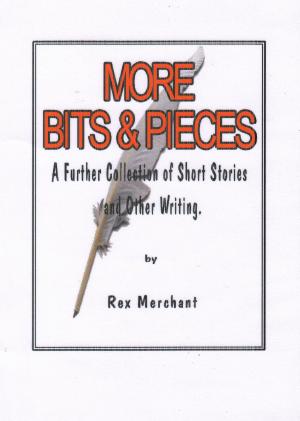 bigCover of the book More Bits & Pieces by 