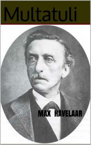 Cover of the book Max Havelaar by Léonard de Vinci