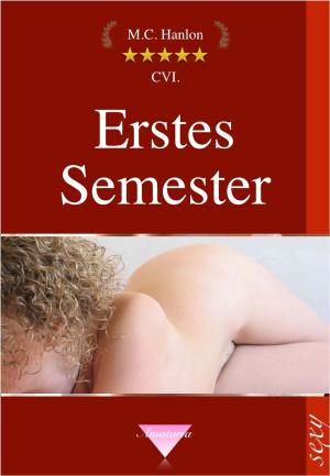 Cover of the book Erstes Semester by Donna Joy Usher
