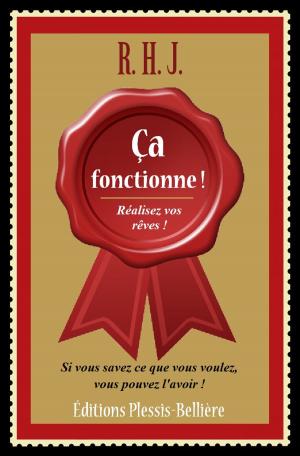bigCover of the book Ça fonctionne ! by 