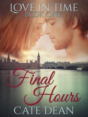 Cover of Final Hours (Love in Time Book One)