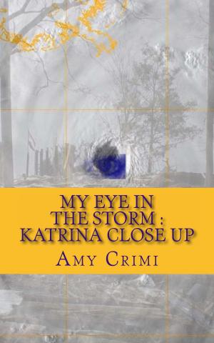 Cover of My Eye In the Storm - Katrina Close Up